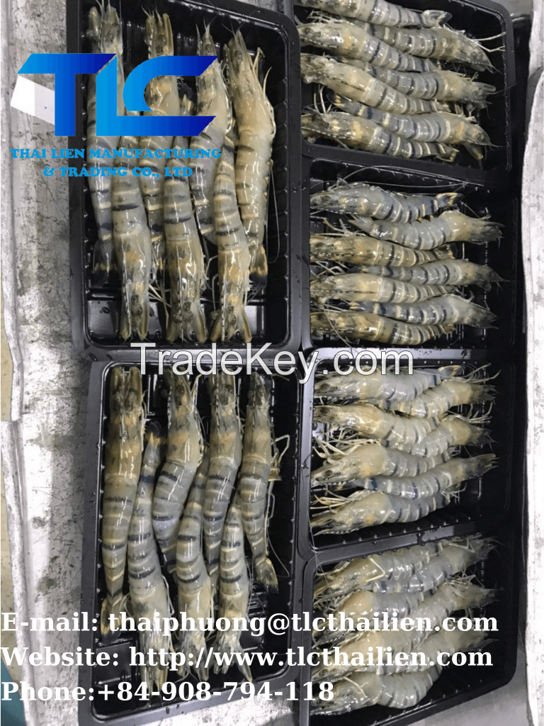 Black Tiger Shrimp (THAI LIEN COMPANY, Ms.Fiona: +84.908.794.118 )