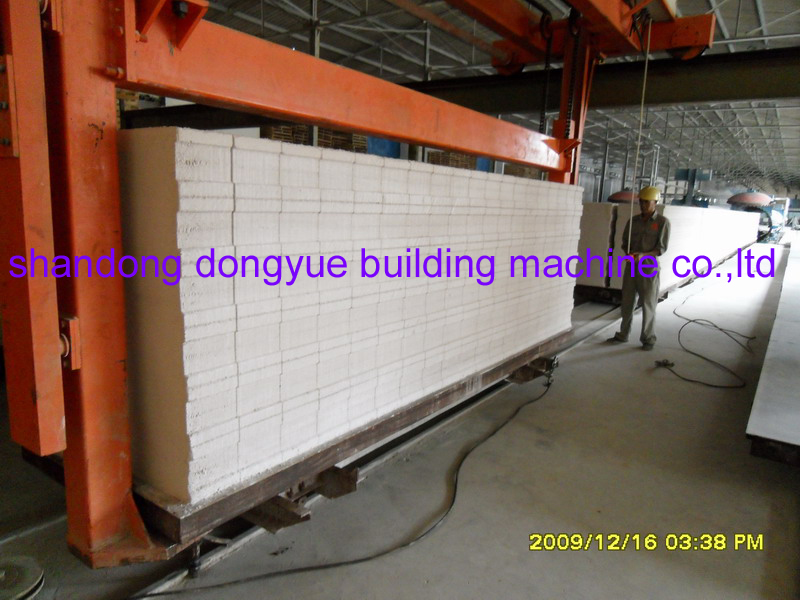 Light Weight Block Machine( DONGYUE AAC PLANT)