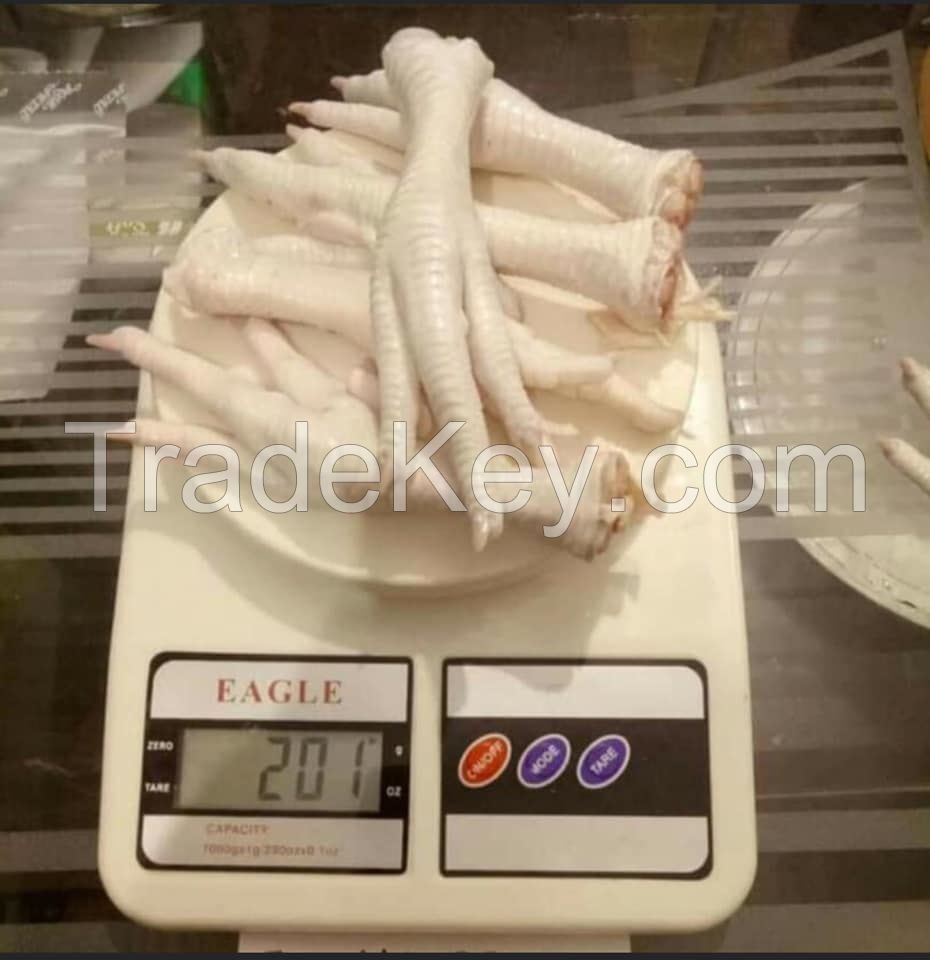 USA CHICKEN FEET FROZEN CHICKEN PAWS CHICKEN WINGS SUPPLIERS