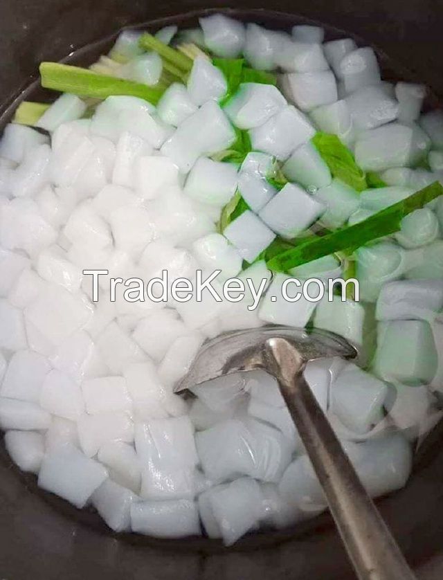 Raw Nata De Coco/ Coconut Jelly