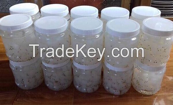  THE BEST PRICE  COCONUT JELLY WITH THE HIGH QUALITY // Mr. Mark +84 975822145