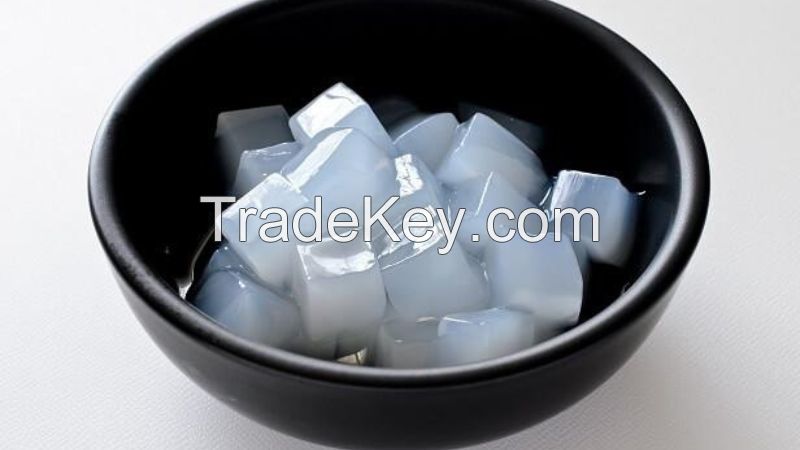 Raw Nata De Coco/ Coconut Jelly