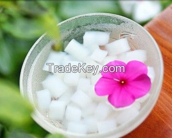 Vietnam Made Nata De Coco/Coconut Jelly 2022//Mr. Mark whatsapp +84 975822145