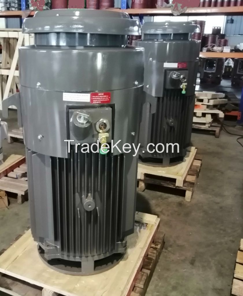 Deep well pump motor