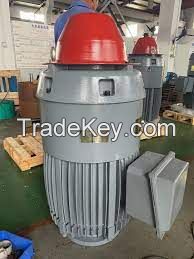 Deep well pump motor