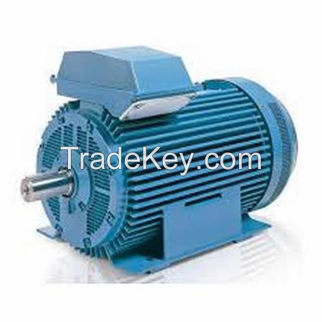 Explosion proof motor