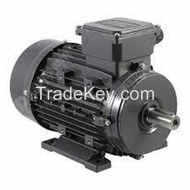 Explosion proof motor