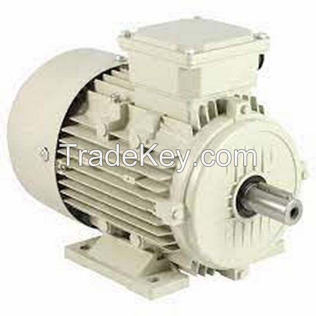 Synchronous Electric Motor