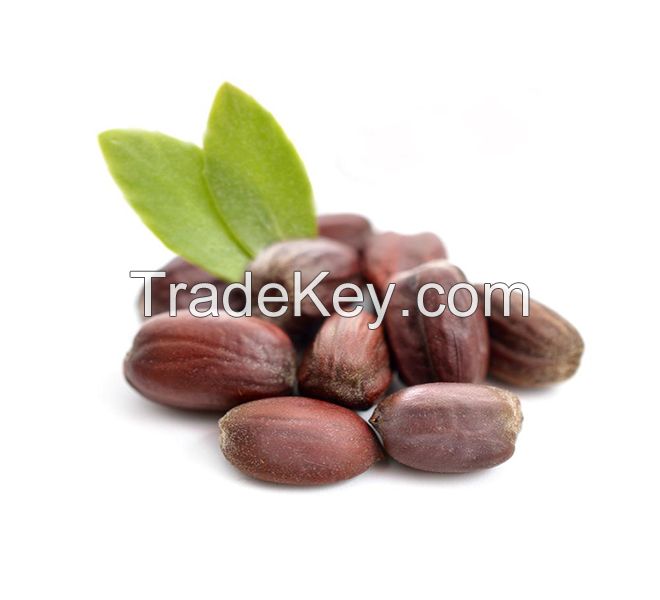 jojoba oil, other pharmaceutical oils and fragrances