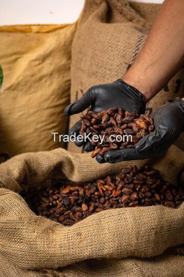 ORGANIC COCOA BEANS