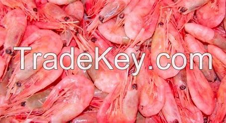 Dried Prawn