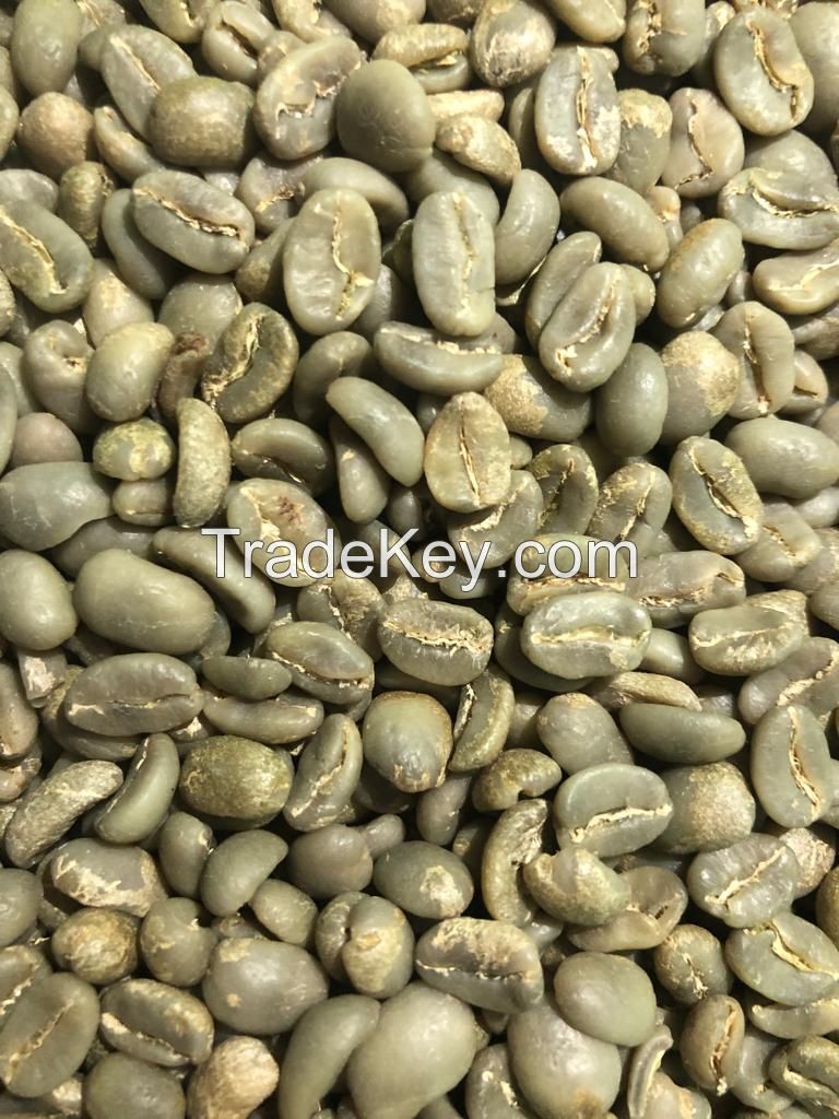 Specialty Arabica Coffee Beans