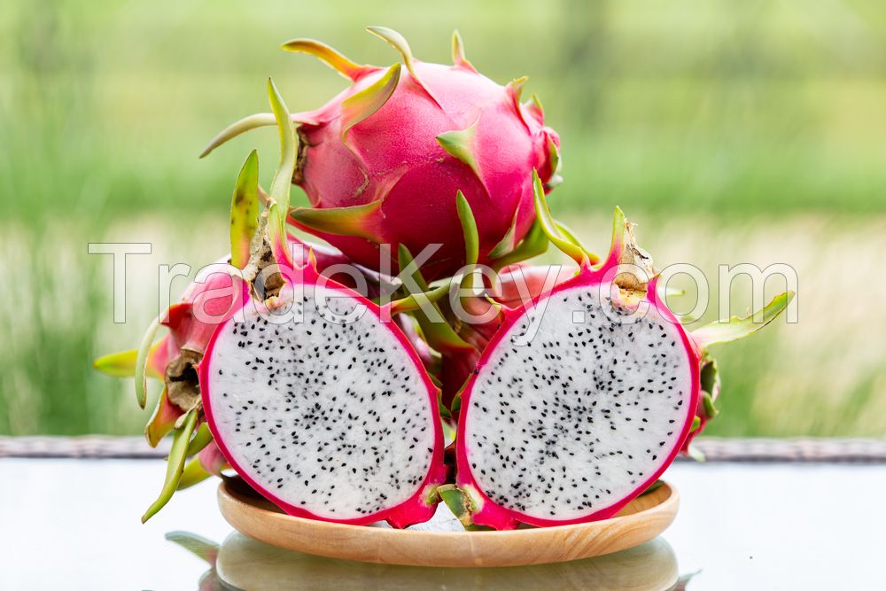 Dragon Fruit