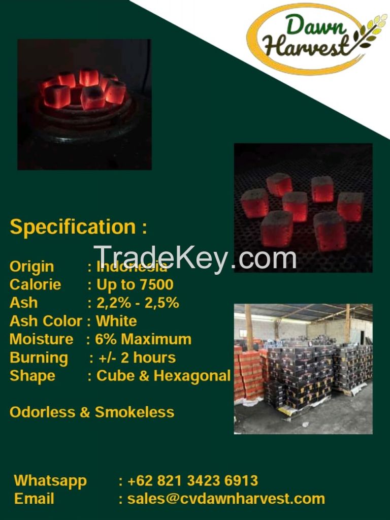 Coconut Shell Briquette for Shisha / Hookah