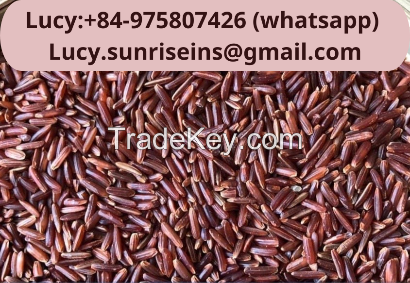 Black rice, red rice, purple rice, brown rice from Viet Nam