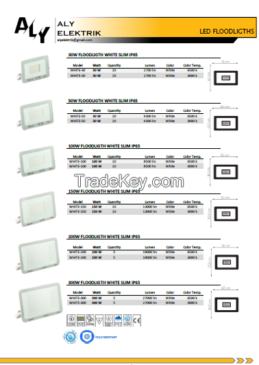 LED FLOODLIGHT