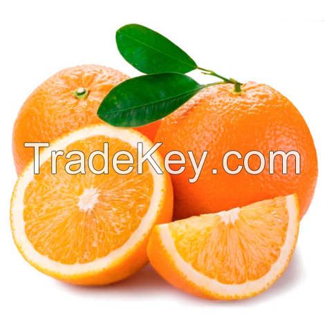 Fresh Tasty Oranges for Sale Navel Orange / Valencia Orange / Baladi Orange