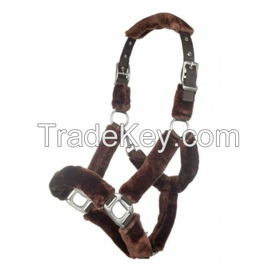 Horse Halter 