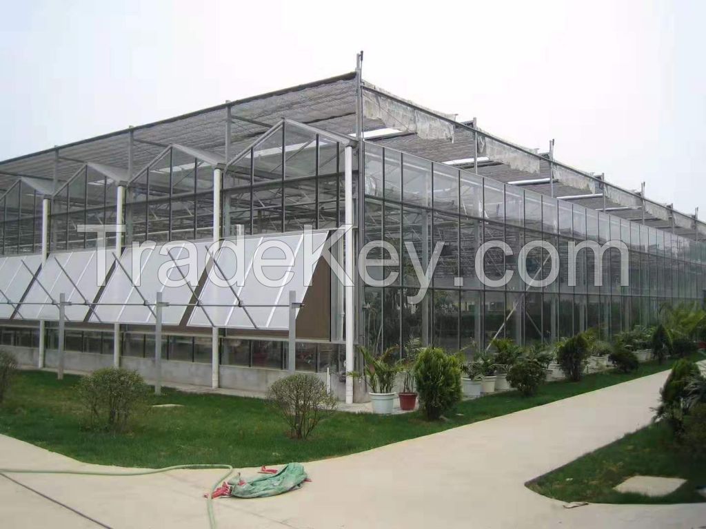 Glass greenhouse