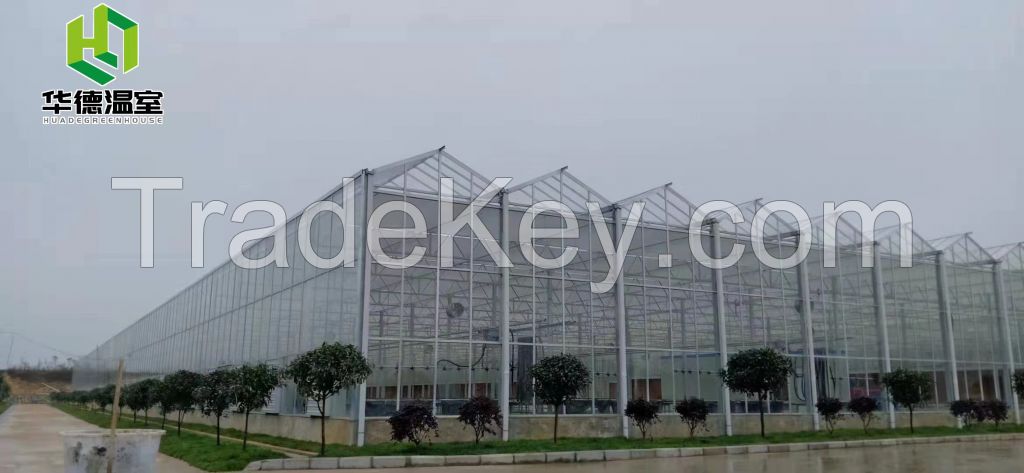 Glass greenhouse