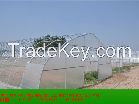 Single tunnel greenhouse