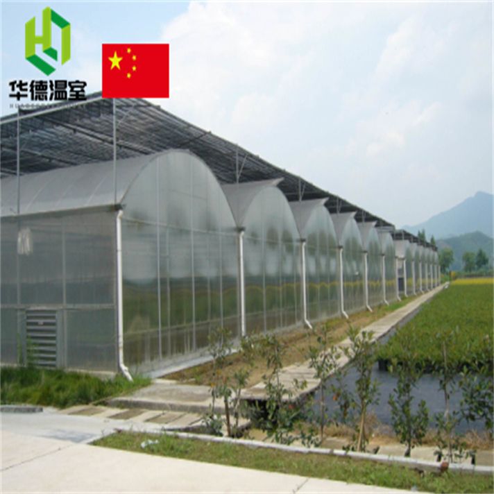 commercial greenhouse