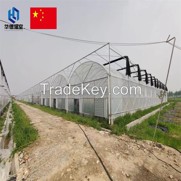 Glass greenhouse supplier