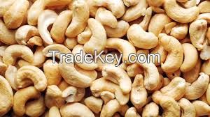 Cashew Nut