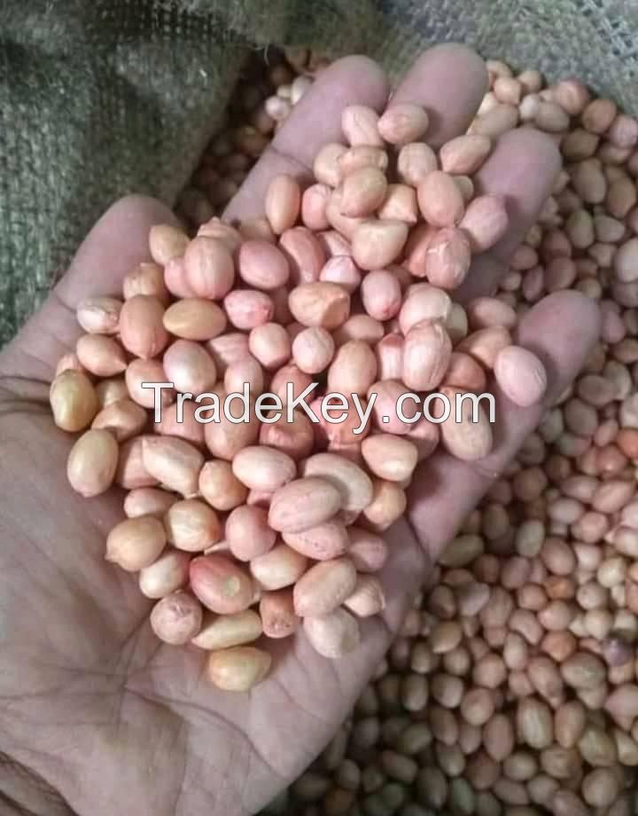 Raw Groundnut