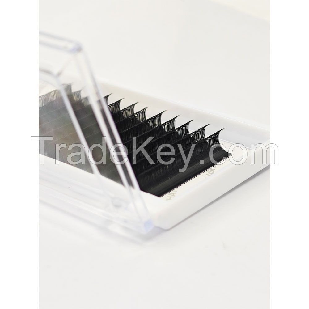 Custom Packaging Classic Eyelash C/CC/D/DD/B/J/L/LC/L/M  Curl Individual Lash Extensions Korean Silk Lash Trays Export Viet Nam