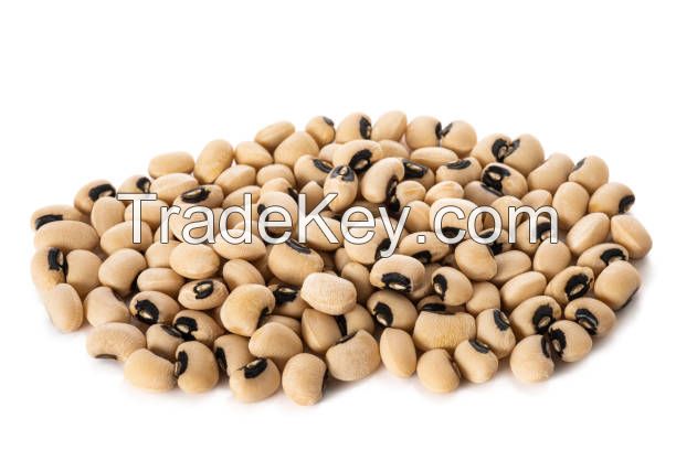 White Kidney Beans