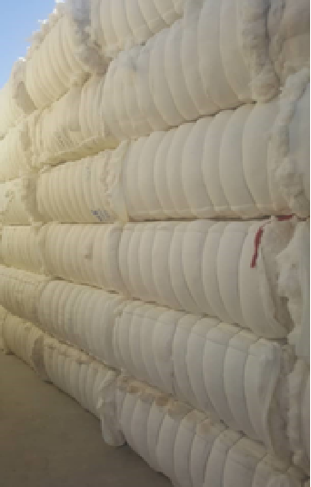 RAW COTTON BALES