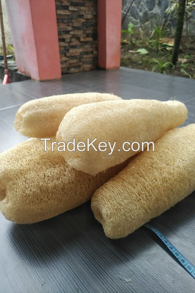 Whole dried loofah sponge