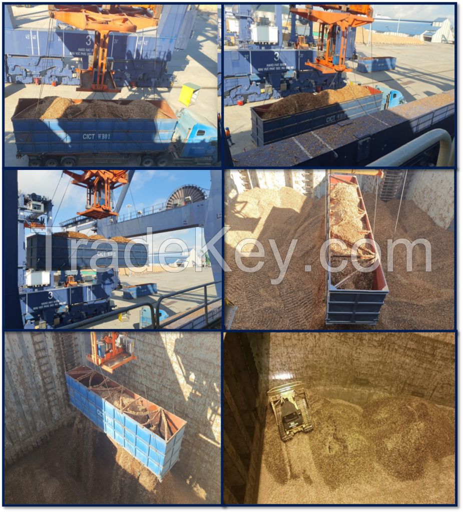 Viet Nam wood chips for paper making