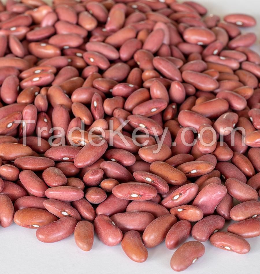 KIDNEY BEANS