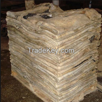 DRY AND WET SALTED DONKEY / HORSE HIDES / WET COW HIDES