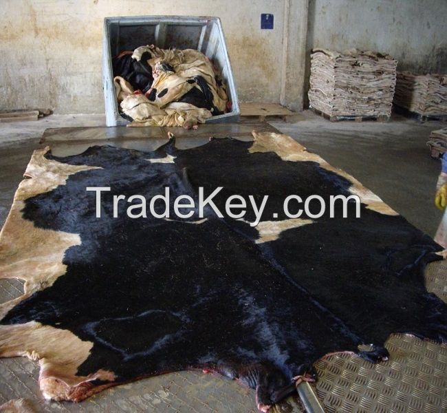 DRY AND WET SALTED DONKEY / HORSE HIDES / WET COW HIDES