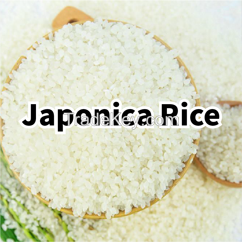 Japonica Rice