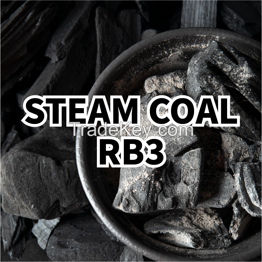 Steam Coal RB3 6000Kcal - SCoTA Spec