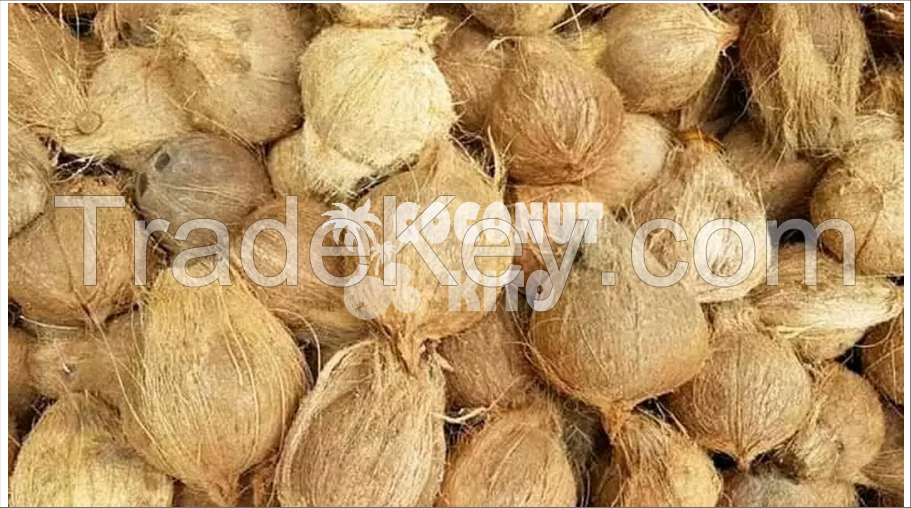 Semi Husked Coconut,Copra,Desiccated Coconut