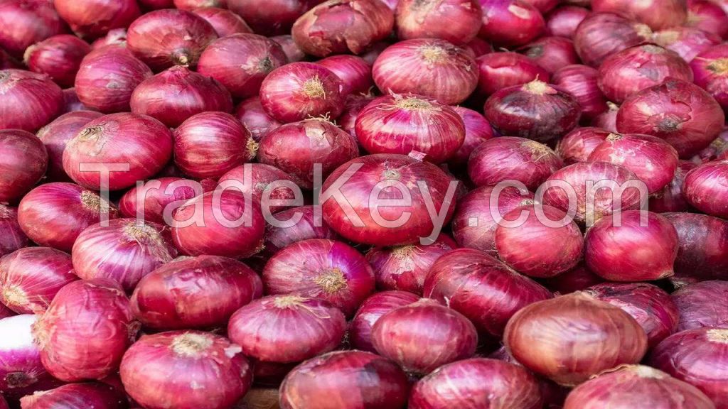 Fresh Onions