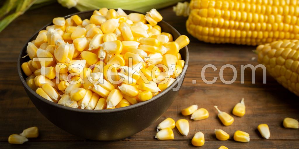 CORN