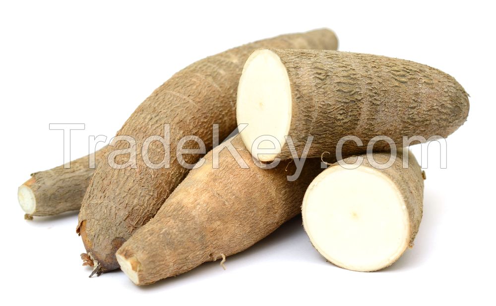 Cassava