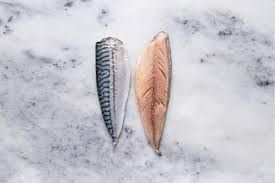 Frozen Mackerel Fillets
