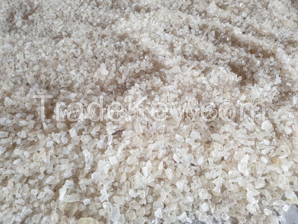 GUM DAMMAR CD / GUM DAMAR / Dammar Resin