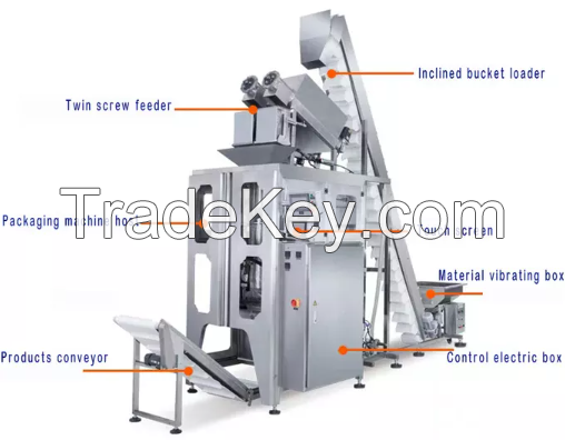 Ice Packing Machine