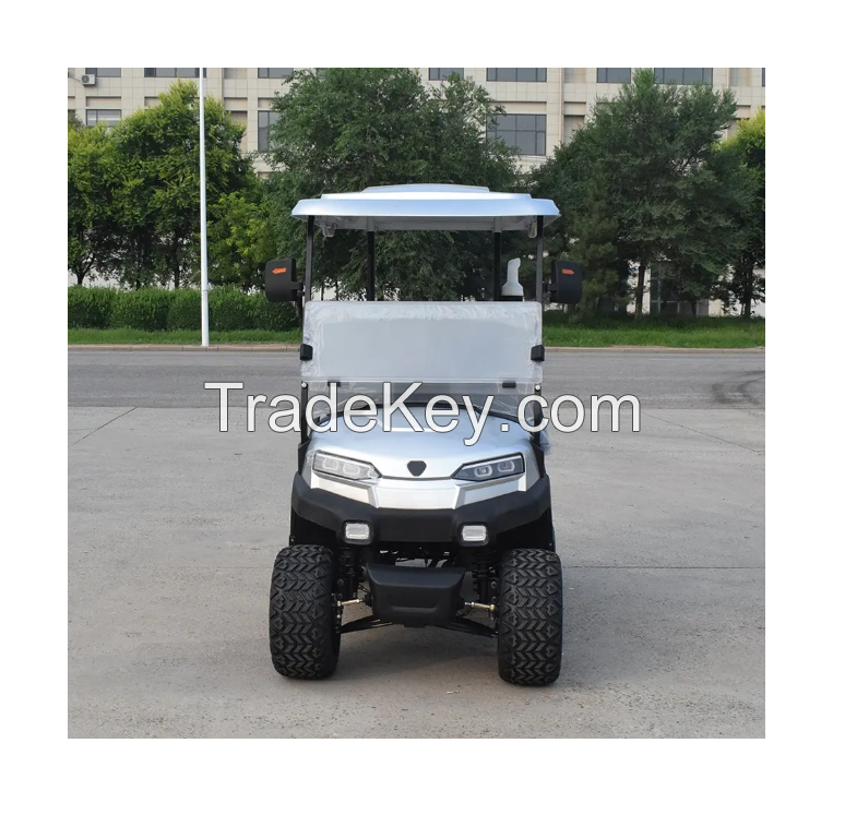 EEC Approved ZYCAR 2 Seat Electric Golf Cart Buggy Custom Golf Push Carts Wholesale Simple