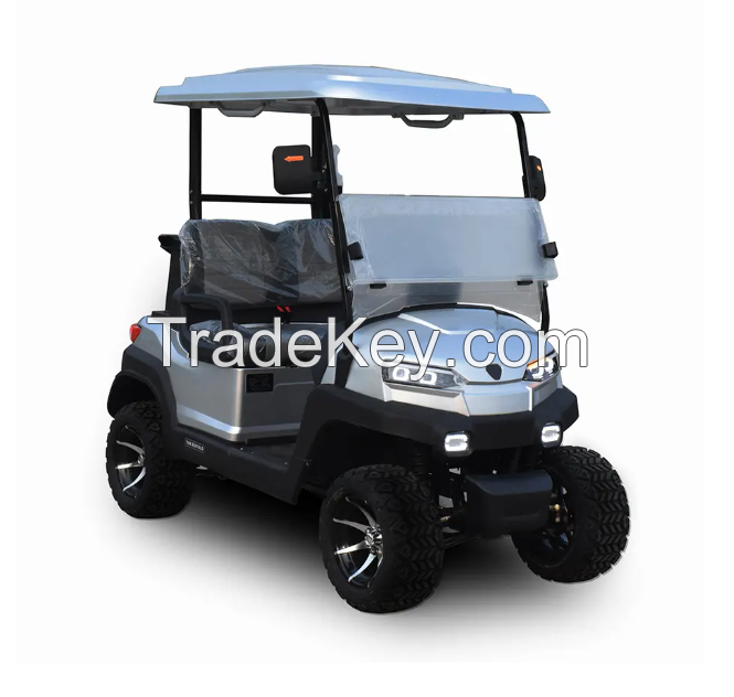 EEC Approved ZYCAR 2 Seat Electric Golf Cart Buggy Custom Golf Push Carts Wholesale Simple