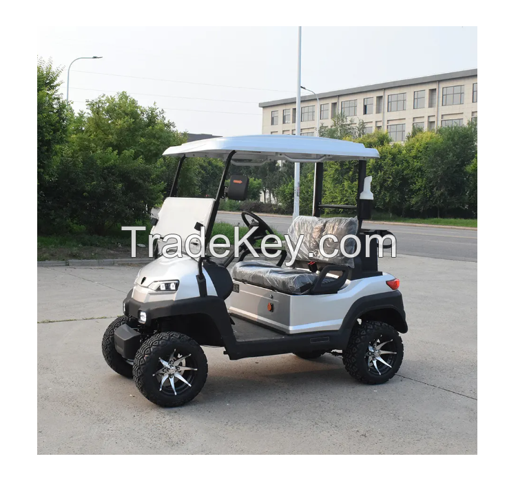 EEC Approved ZYCAR 2 Seat Electric Golf Cart Buggy Custom Golf Push Carts Wholesale Simple