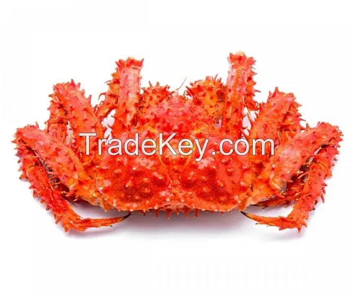 Whole Alaskan Red KING CRAB King Crab Wholesale Frozen King Crab Legs Ready for Shipping BQF Frozen from PH 2.5 Kg